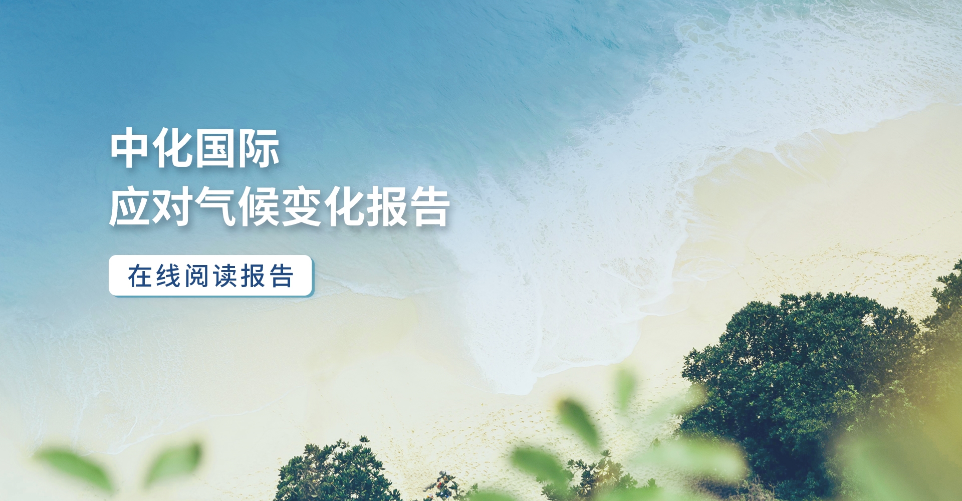 精密化学 绿色生涯