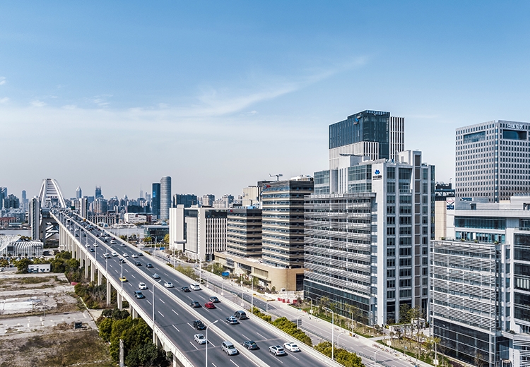 ������Ŀ 