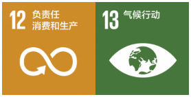 �ɳ�����չս��