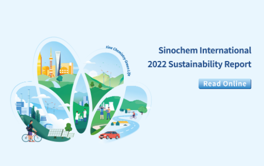 22��ɳ�����չ�㱨