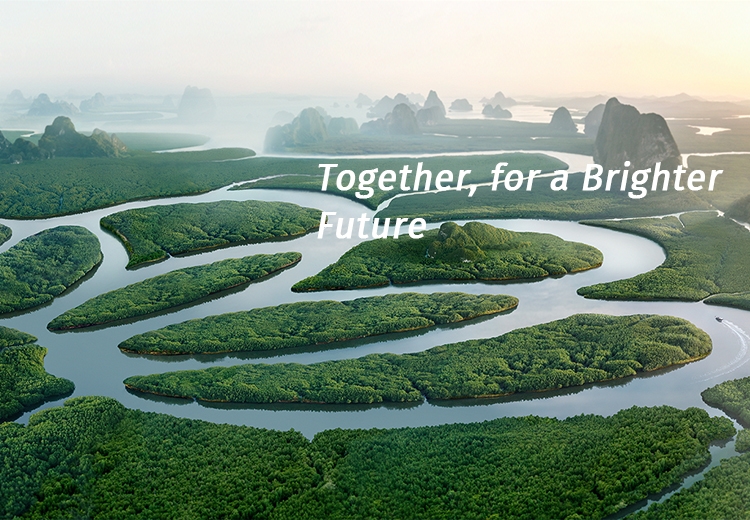 精密化学 绿色生涯