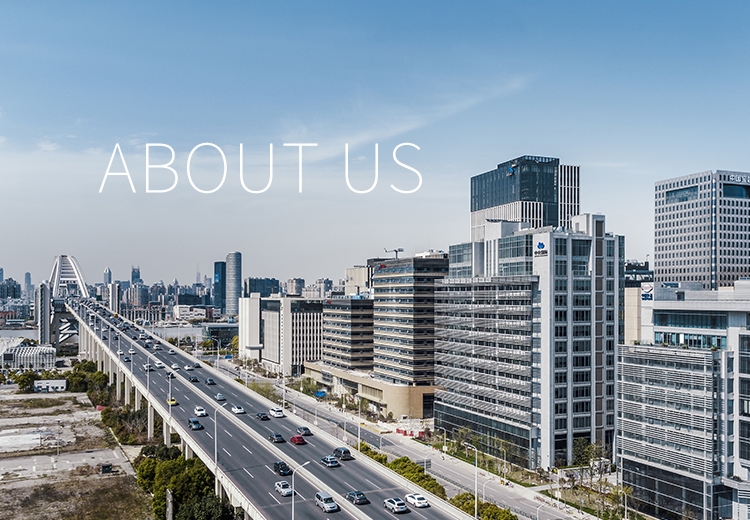 关于298手游网站 