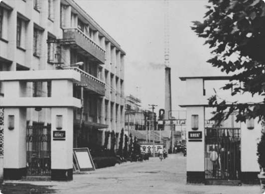 Yangnong Group��s Relocation